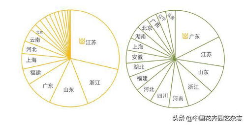 传统电商平台 不变的是一直在变 中国花卉园艺 2020年7期专题